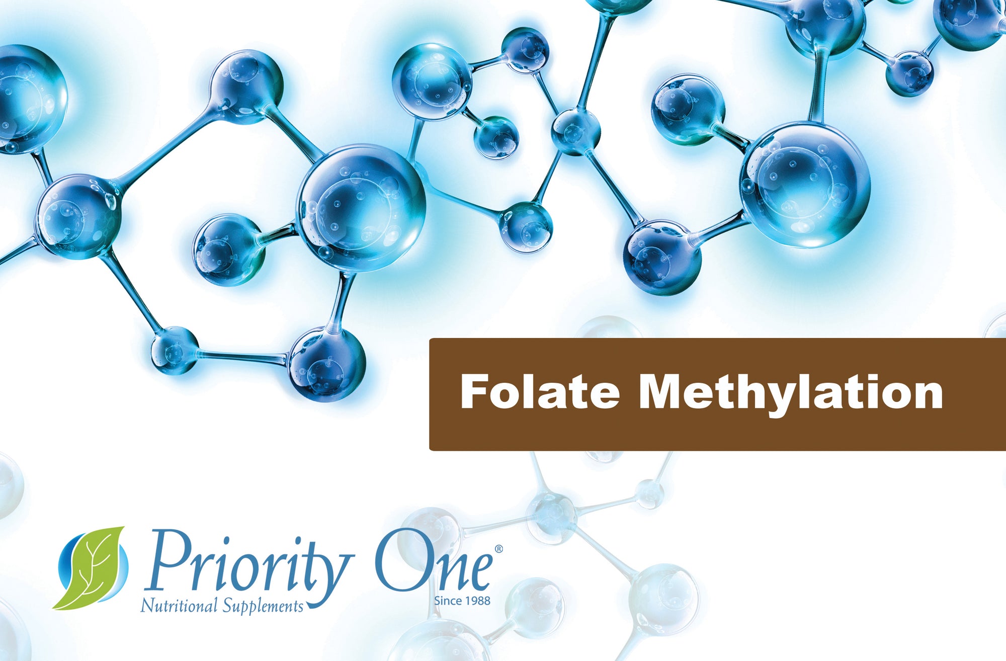 Folate Methylation is designed to synergistically support the methylation process and normal homocysteine metabolism.