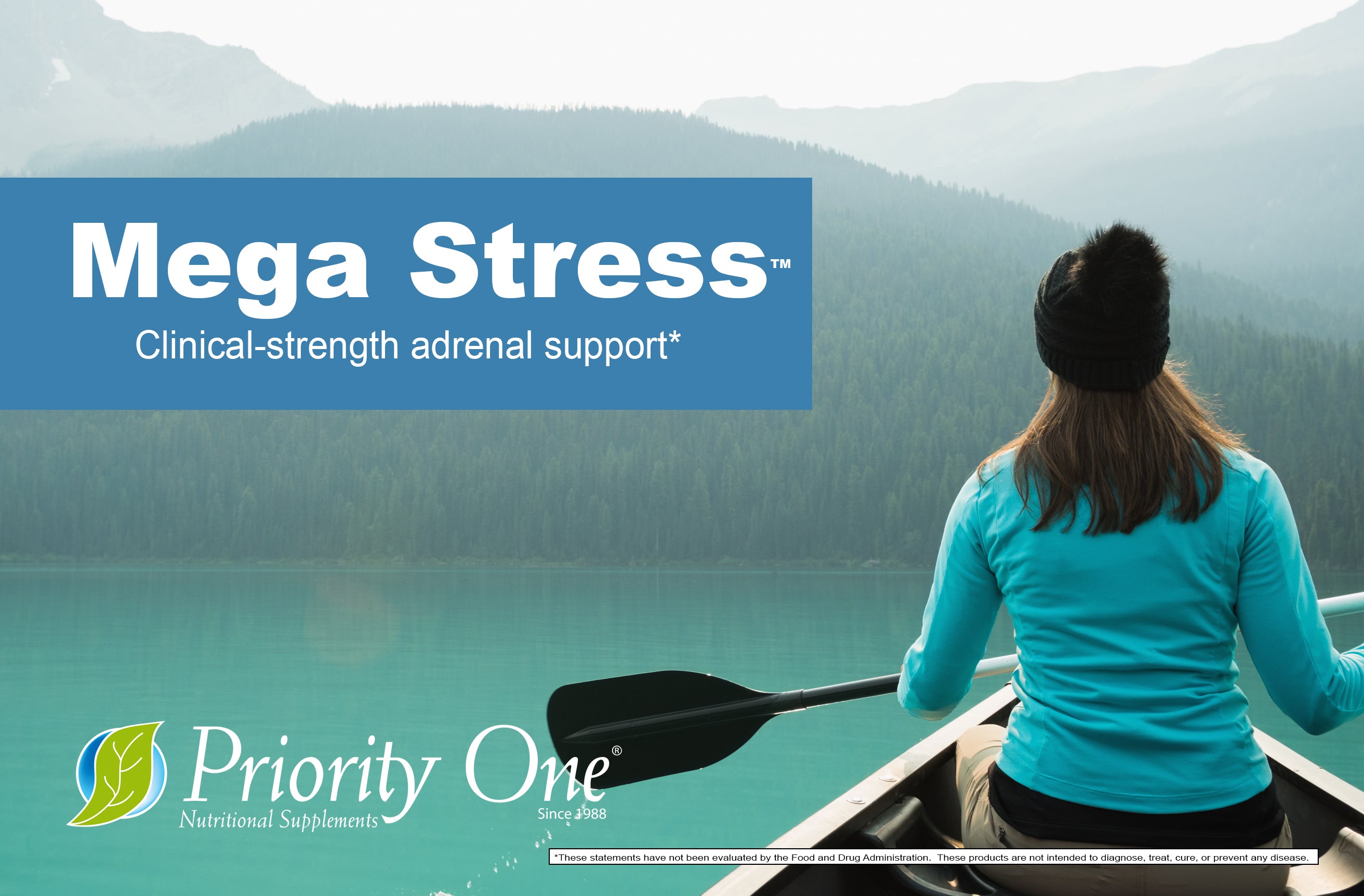 Mega Stress Clinical-strength adrenal support vitamin, image shows a women in a canoe with a paddle in her hand, the water is a  calm and a beautiful teal color, the mountains in front of her show evergreen trees all the way to the blue water with a foggy mist above the trees. It is a quiet, peaceful morning. 
