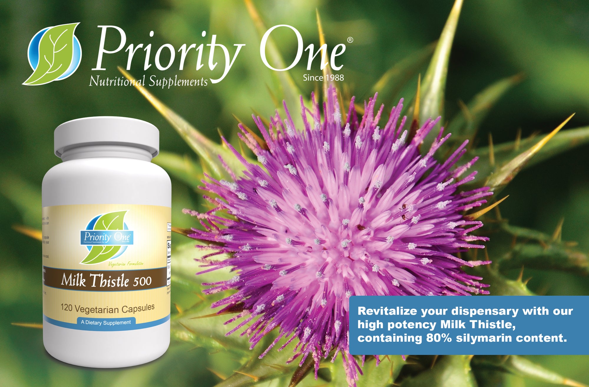 Milk Thistle 500mg (120 Vegetarian Capsules) Our high-potency 500mg milk thistle capsules for liver health feature an 80% silymarin content.*